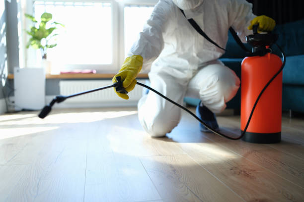 Reliable Sewage Cleanup contractor in North Lewisburg, OH by Trauma Clean Pros